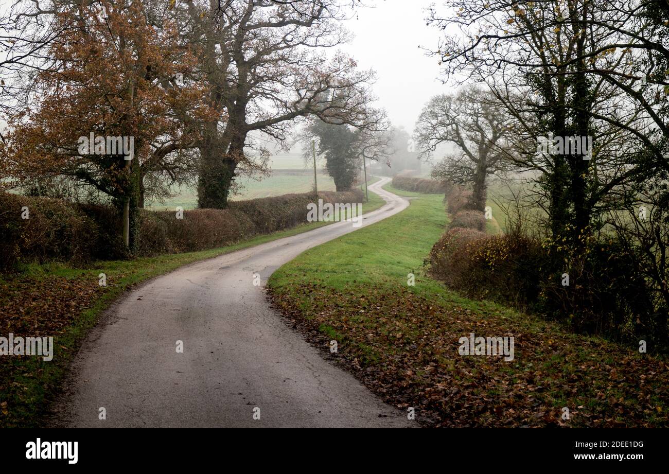 Un sinuoso carril de campo en un día brumoso en noviembre, Warwickshire, Inglaterra, Reino Unido Foto de stock