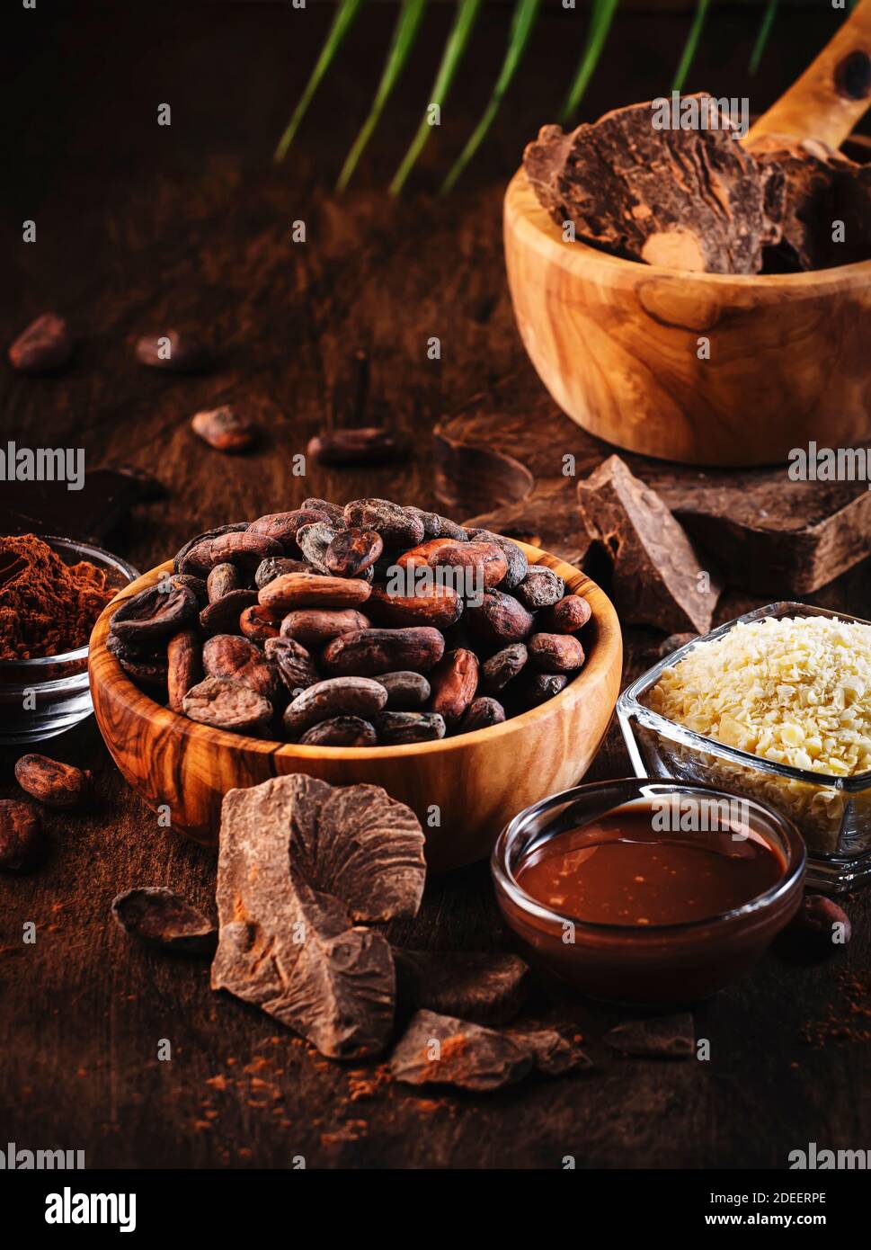 Varios productos orgánicos de cacao. Granos de cacao, cacao en polvo