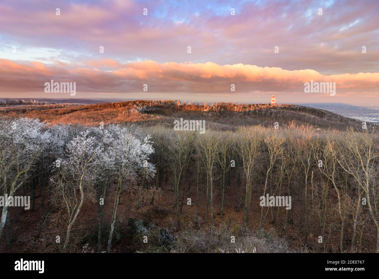 Gaaden: Vista desde la torre de observación Wilhelmswarte en la montaña Anninger al norte con Wienerwald y el transmisor Anninger, rime hielo en las copas de los árboles, sol Foto de stock