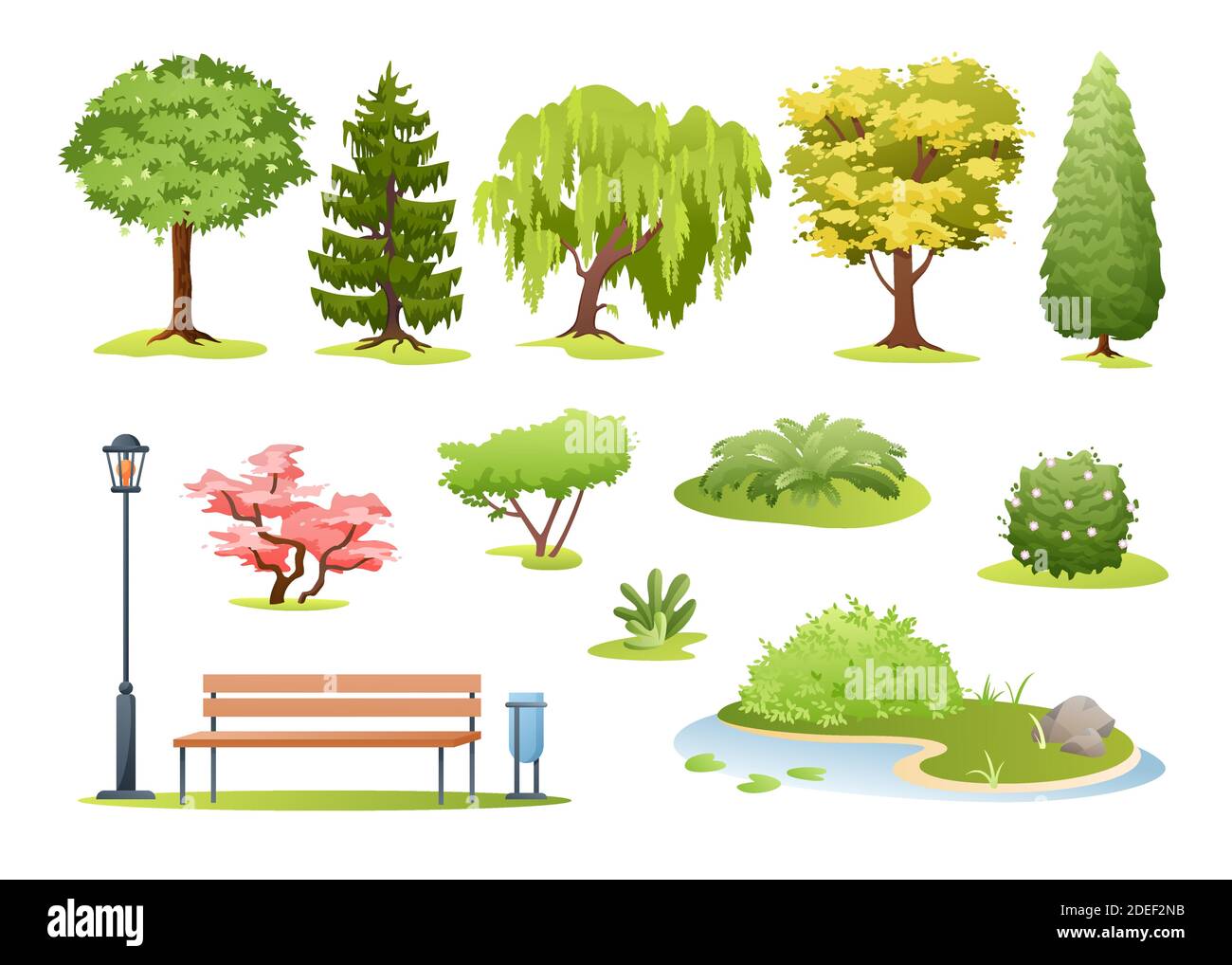 Ilustración vectorial de árboles forestales y parques. Dibujos animados varios árboles verde de verano caducifolios y perennes, arbustos con flores, helechos y parque o jardín Ilustración del Vector