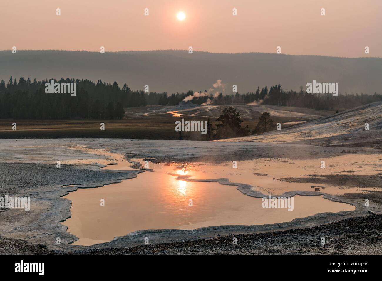 Primavera del corazón con el Geyser Castillo en la distancia cerca de la puesta de sol en la cuenca del Geyser Superior del Parque Nacional Yellowstone, Wyoming, EE.UU. Foto de stock