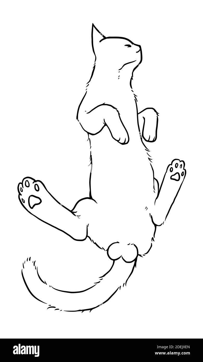 Un dibujo de línea de un gato tumbado en el suelo con comodidad