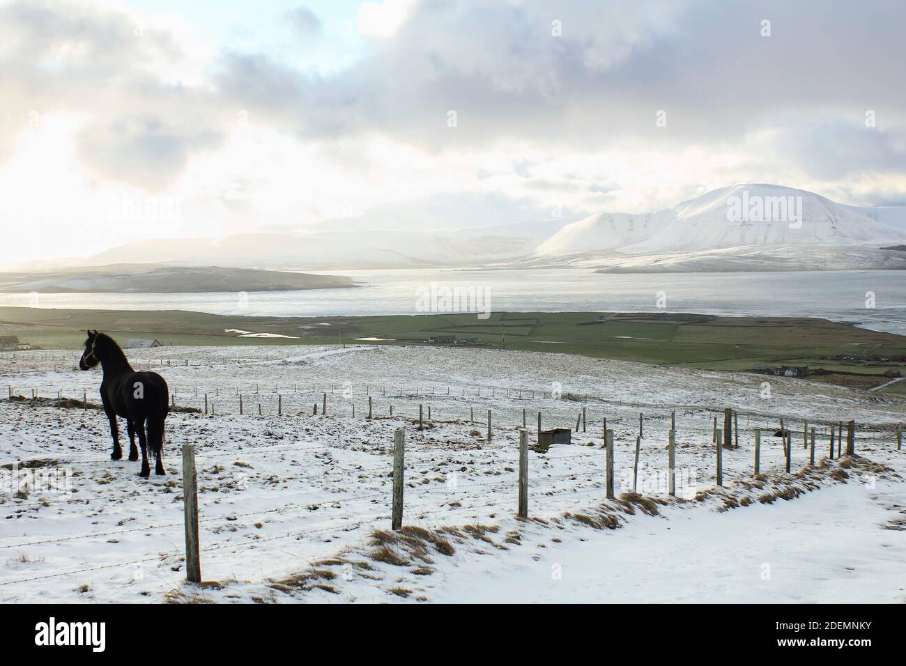 Una escena con tierra cubierta de nieve y caballo negro de pie detrás de la valla Foto de stock