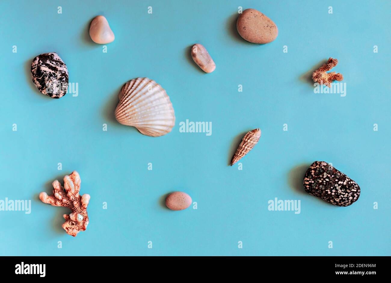 Fondo azul abstracto con objetos de mar - piedras de guijarros, conchas marinas, corales. Elementos de diseño, fondo plano, papel tapiz Foto de stock