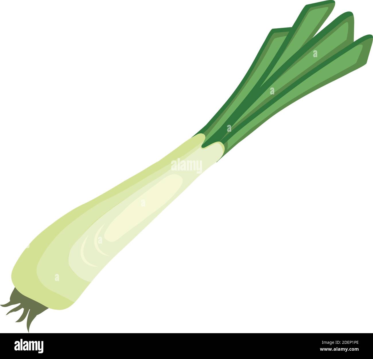 cebolla vegetal fresca rama de alimentos saludables icono Imagen Vector de  stock - Alamy