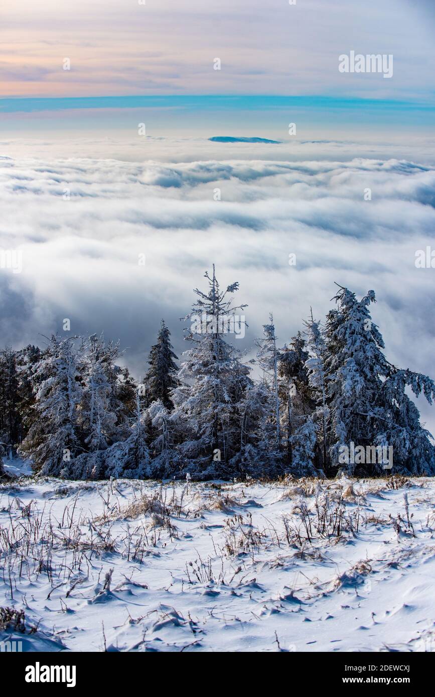 Paisaje nevado, montañas nevadas. Invierno en el bosque. Foto de stock