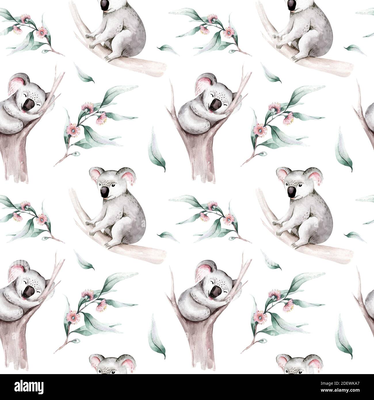Cartoon Koala Bear Fotos E Imagenes De Stock Pagina 6 Alamy Cartoon Koala Bear Fotos E Imagenes De Stock Pagina 6 Alamy