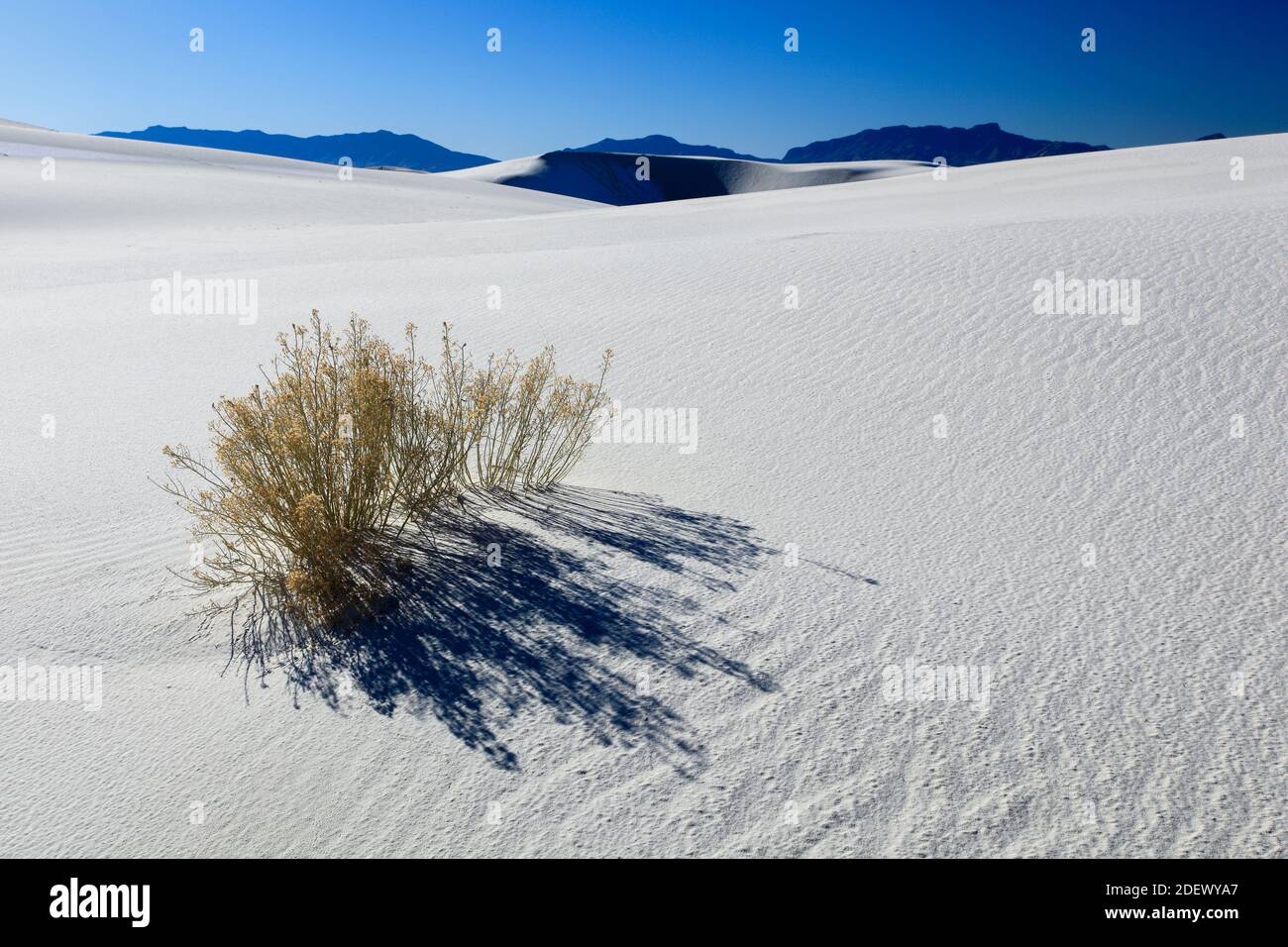 Geografía / viajes, EE.UU., dunas de piedra de yeso, White Sands monumento nacional, Nuevo México, América del Norte, Derechos adicionales-aclaramiento-Información-no-disponible Foto de stock