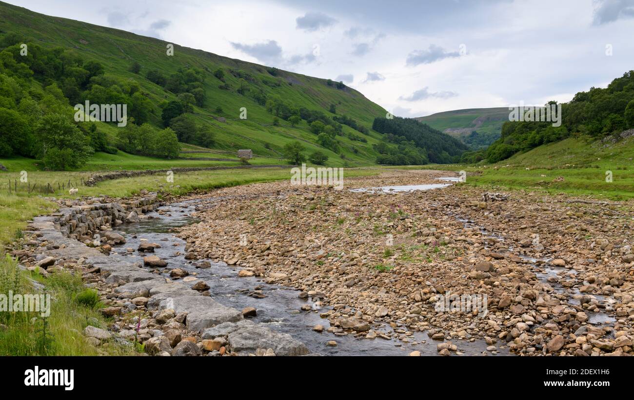 Río Swale en el pintoresco valle del campo (bajo canal de aguas poco profundas en el clima seco de verano y rocas de los cauces del río) - Swaledale, Yorkshire Dales, Inglaterra, Reino Unido. Foto de stock
