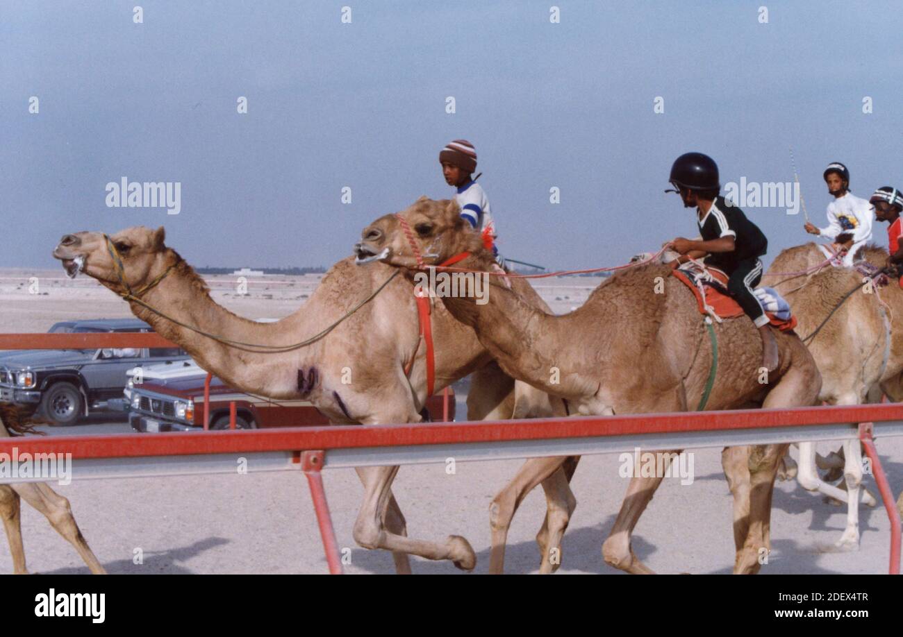 Niños jinetes de camellos en una carrera de camellos, Dubai, EAU 1990  Fotografía de stock - Alamy