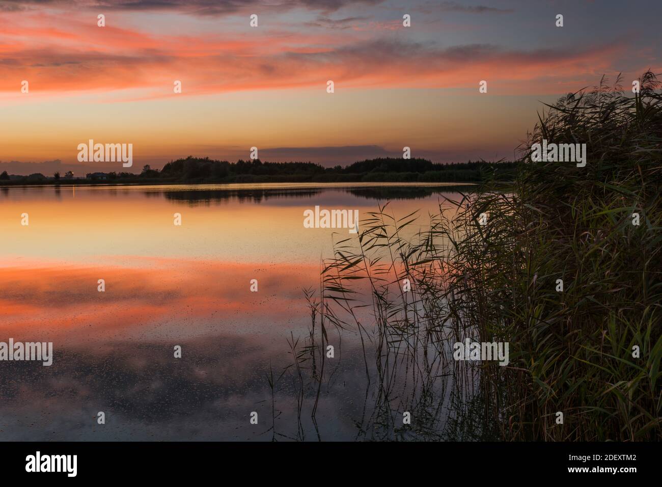 Nubes de colores, imagen de espejo en un lago con cañas, vista de la noche de verano, Stankow, Polonia oriental Foto de stock