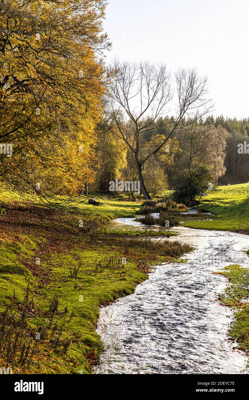 Otoño en los Cotswolds - luz de noche en el Hilcot Brook en Hilcot, Gloucestershire Reino Unido Foto de stock