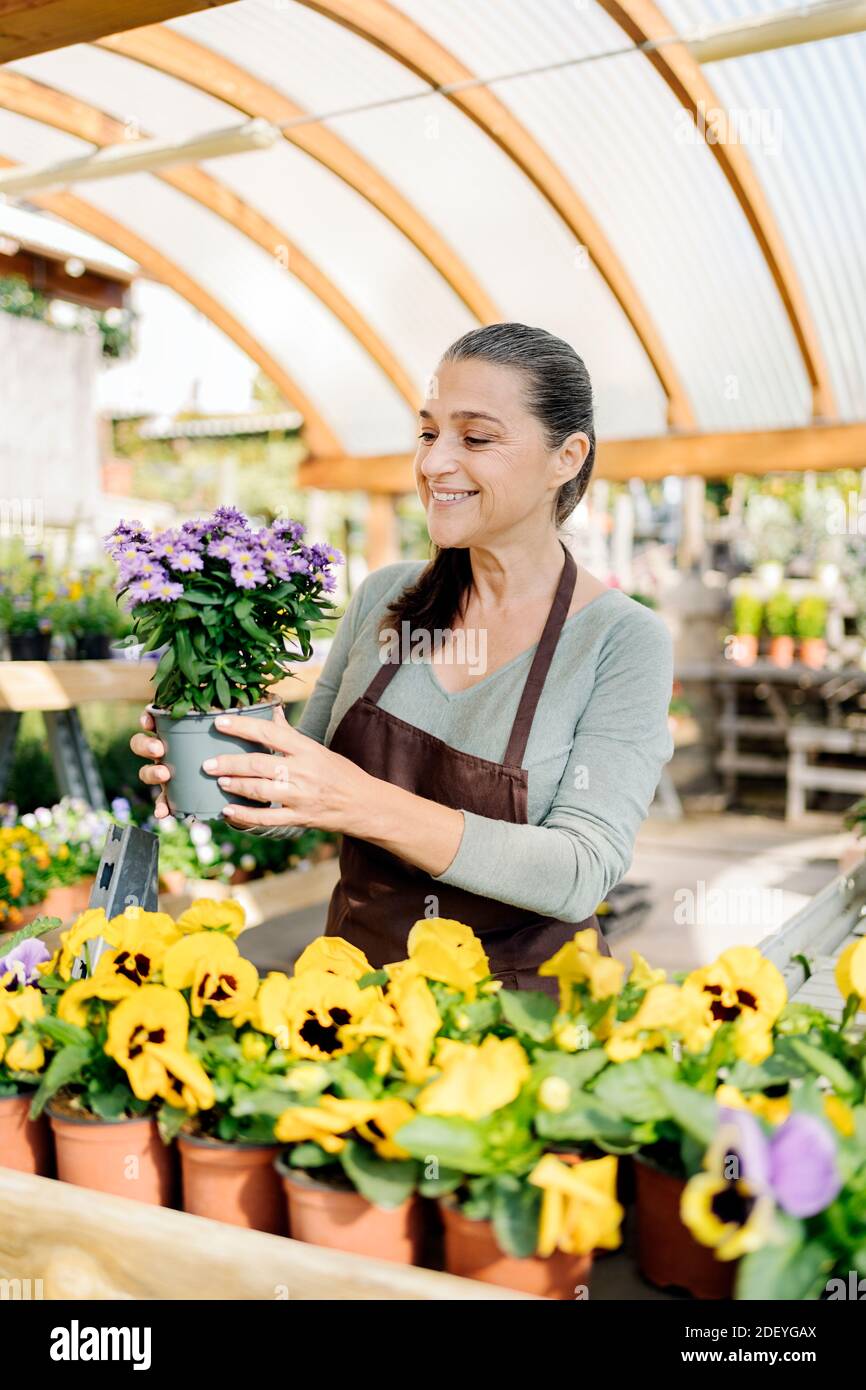 Foto de stock de la hermosa mujer de edad media que trabaja en el vivero de plantas y la celebración de una maceta de flores. Foto de stock