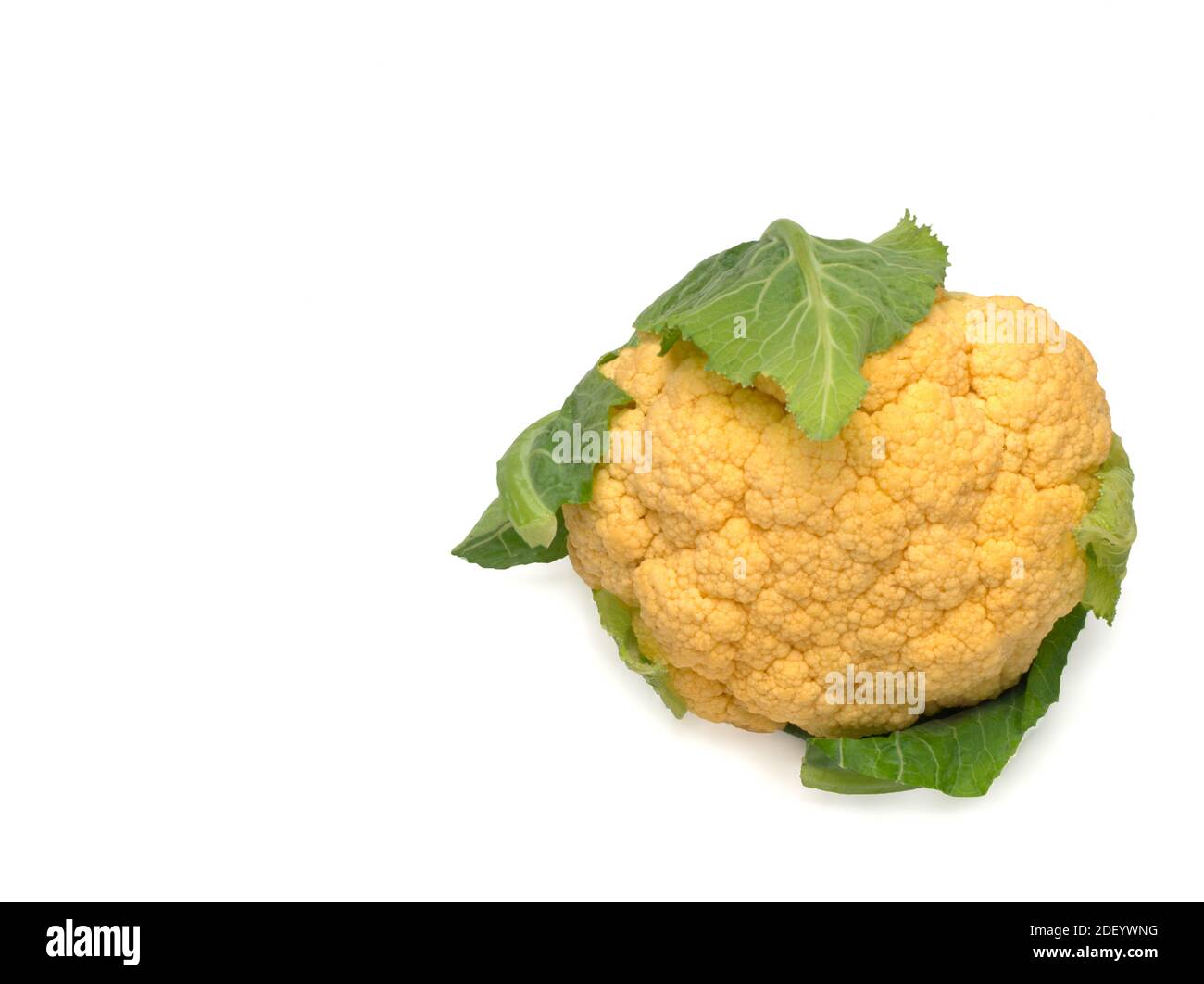 Ruta coliflor color aislado en blanco vista superior Foto de stock