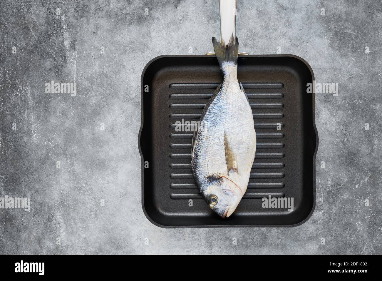 Dorado fresco sin cocinar o pescado de besugo en una sartén sobre fondo gris. Vista superior, espacio de copia. Foto de stock