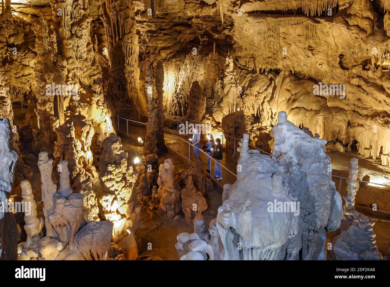 Alabama Grant Cathedral Caverns State Park cueva estalagmitas formaciones forestales visitantes turistas, Foto de stock