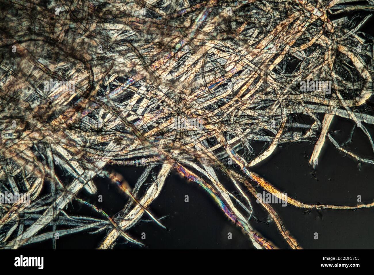 Fibras de papel bajo el microscopio 100x Fotografía de stock - Alamy