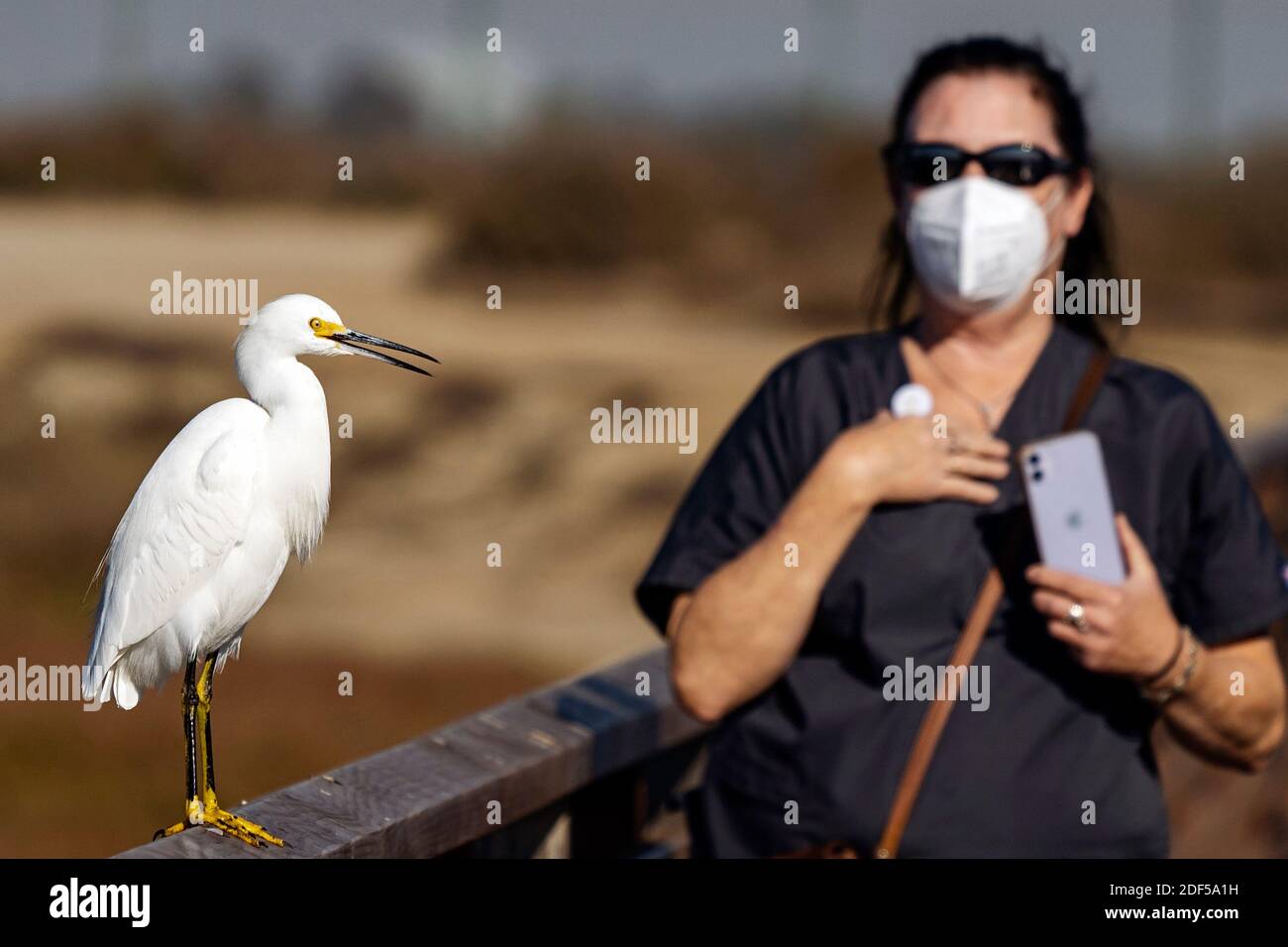 200 especies de aves fotografías e imágenes de alta resolución - Página 4 -  Alamy