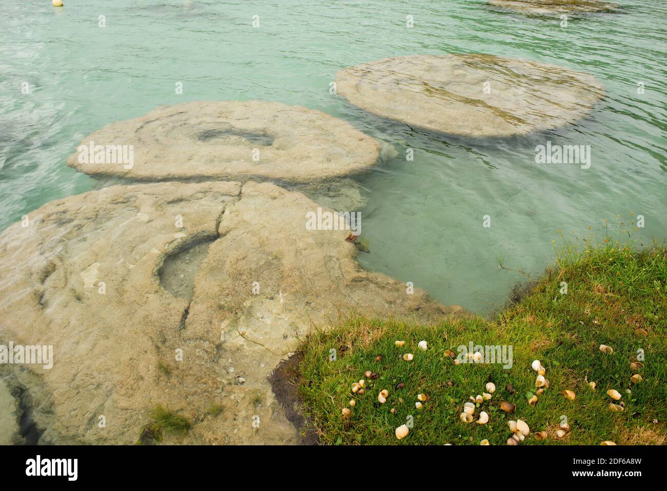 Stromatolits o stromatolitos vive. Estas formaciones se deben a la actividad de las cianobacterias.las cianobacterias son los primeros organismos que se aflojan Foto de stock