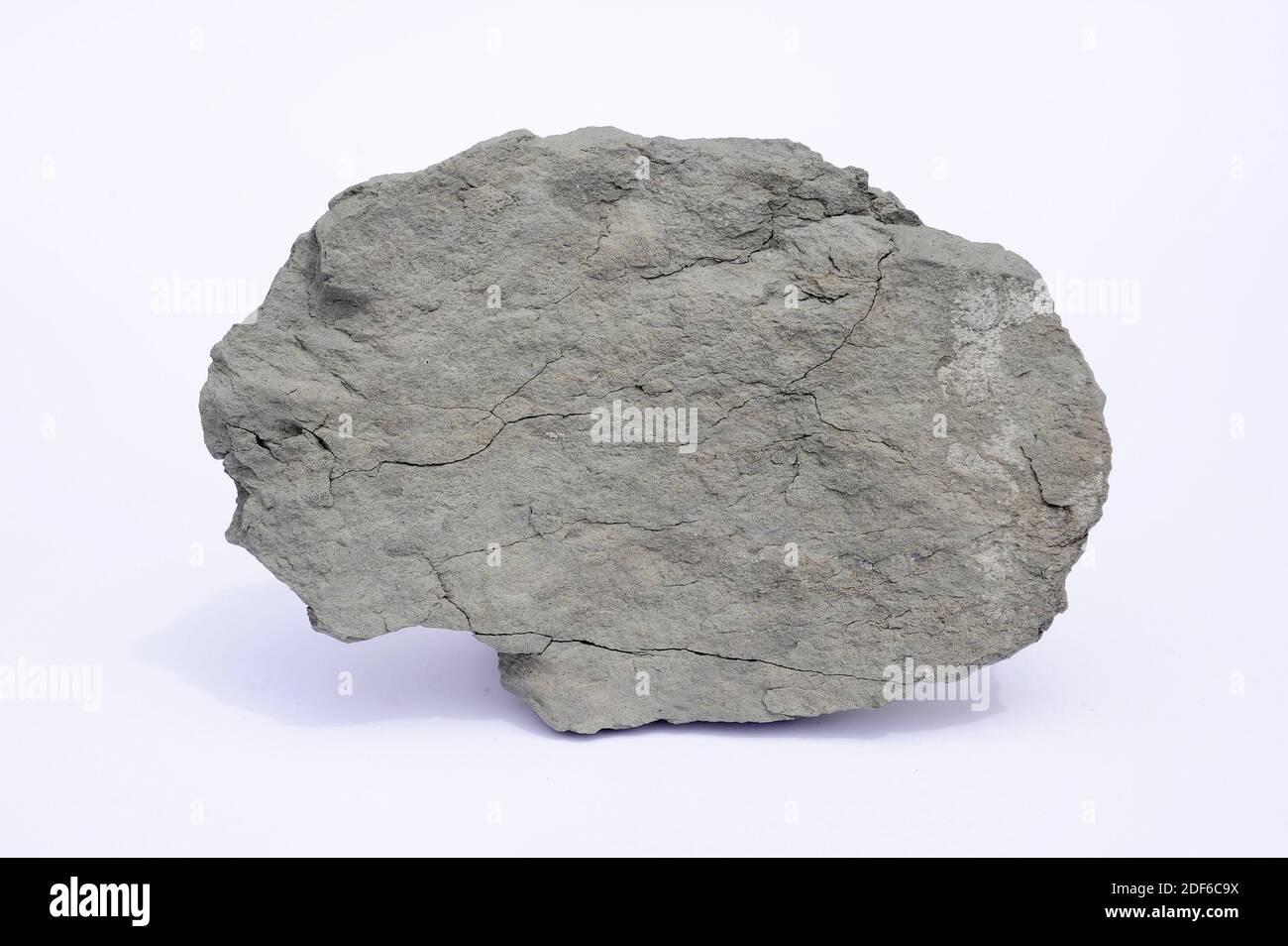 Marga o marlstone es una roca sedimentaria compuesta de piedra caliza  (carbonato de calcio) y arcilla (mudstone). Esta muestra procede de Tona,  Barcelona Fotografía de stock - Alamy