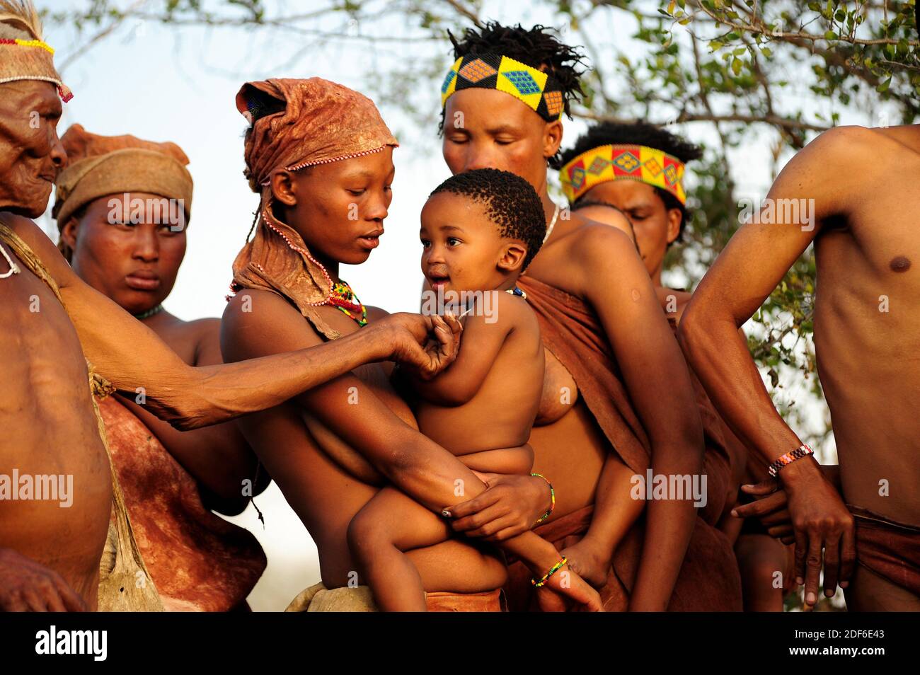 Grupo de bushmen o san. Tsumkwe, Otjozondjupa, Kalahari, Namibia. Foto de stock