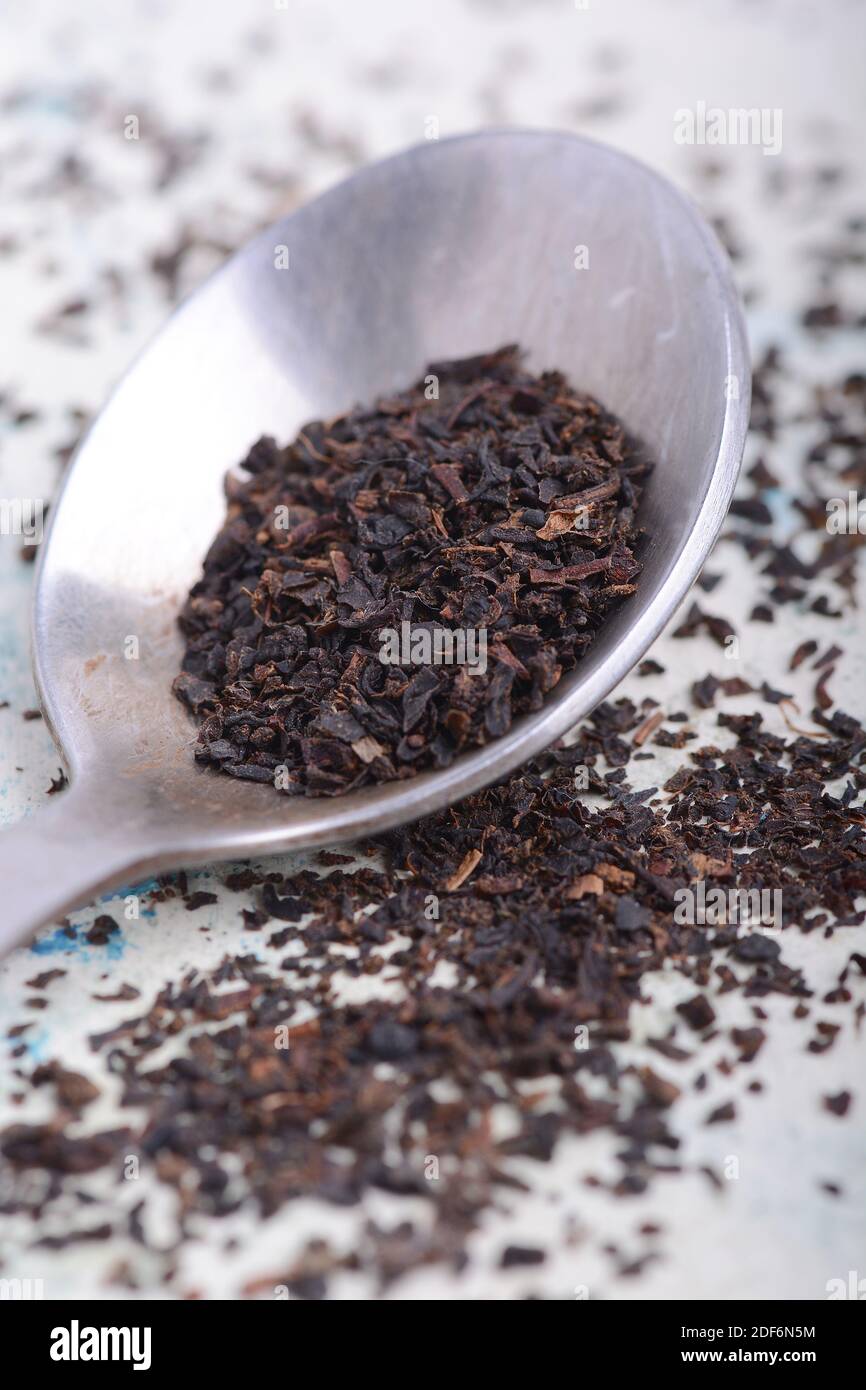 Earl gris negro seco hojas de té en la cuchara de cerca Foto de stock