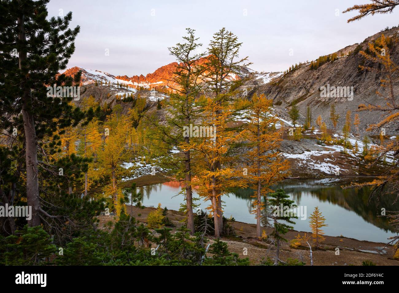 WA18638-00...WASHINGTON - mañana de otoño temprano en Lower Ice Lake en el Glacier Peak Wilderness. Foto de stock
