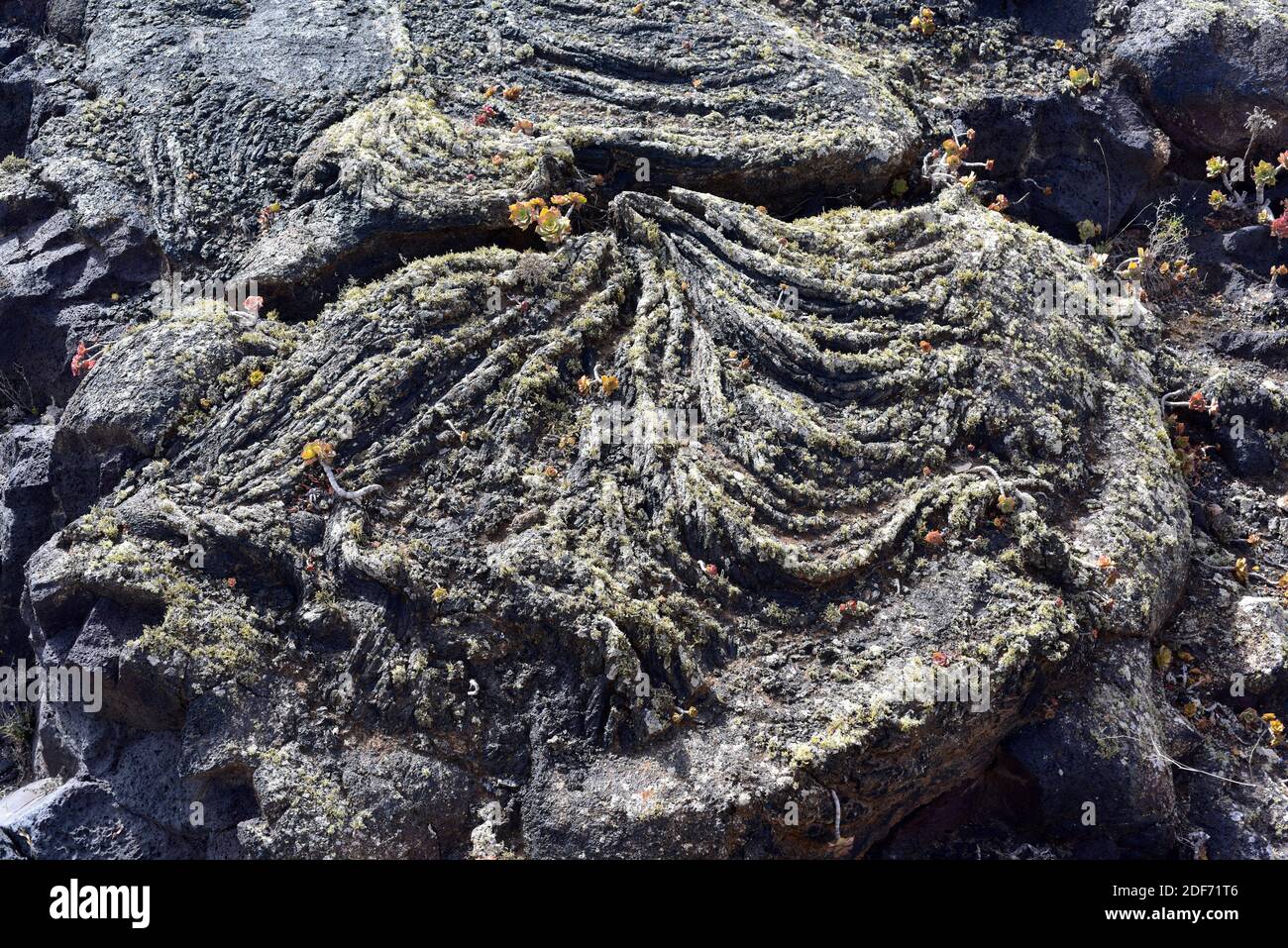 Pahoehoe o flujo de lava cerca de Masdache, Isla de Lanzarote, Islas Canarias, España. Foto de stock
