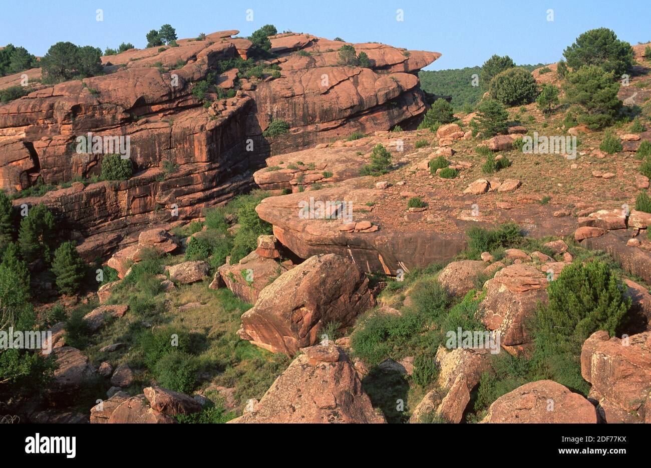 arenisca-roja-de-buntsandstein-triasico-el-rodeno-sierra-de-albarracin-provincia-de-teruel-aragon-espana-2df77kx.jpg