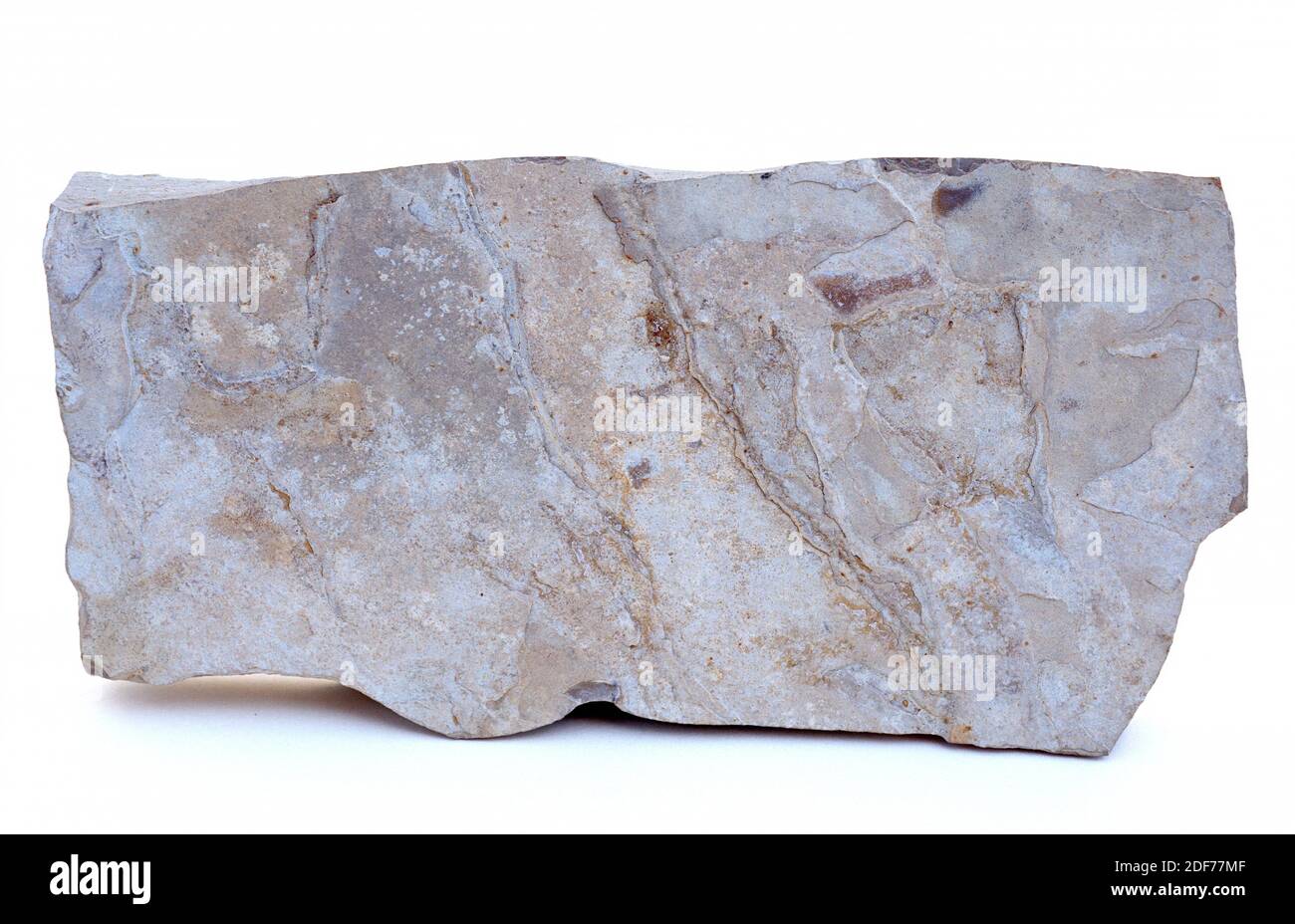 La piedra caliza es una roca sedimentaria compuesta principalmente de carbonato de calcio. Muestra. Foto de stock