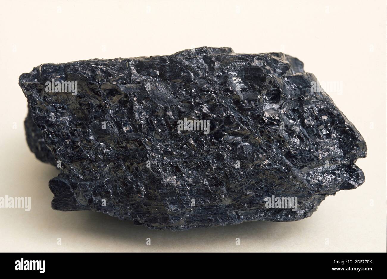 El carbón bituminoso es una roca sedimentaria orgánica. Muestra. Foto de stock