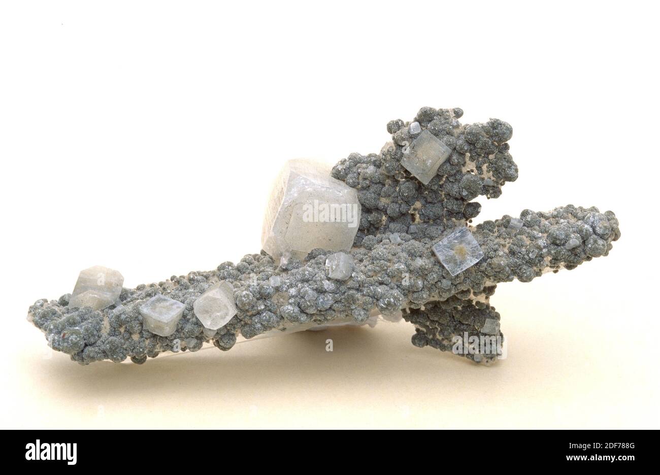 Apophyllite es un grupo de minerales de silicato (filosilicato). Muestra cristalizada con calcita y girolita (cristales redondeados). Foto de stock