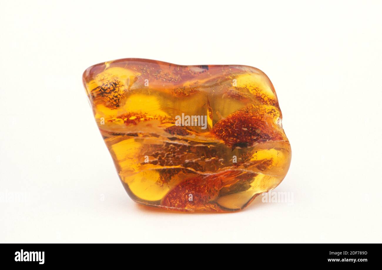 El ámbar es una resina fosilizada muy apreciada por su color; se considera una piedra preciosa. Muestra. Foto de stock