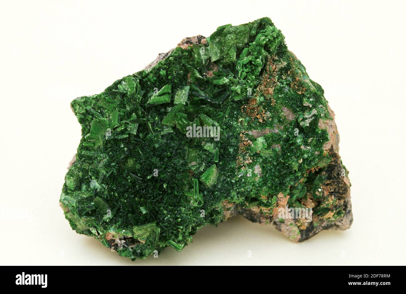 Torbernite es un mineral radioactivo de uranilo fofato de cobre. Muestra cristalizada. Foto de stock