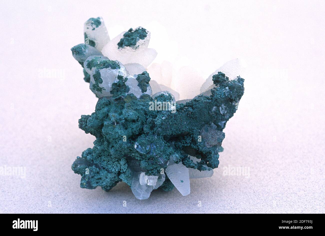 La montmorillonita es un mineral de silicato del grupo de la smectita. Muestra (verde) con cristales de apophyllita (transparente). Foto de stock