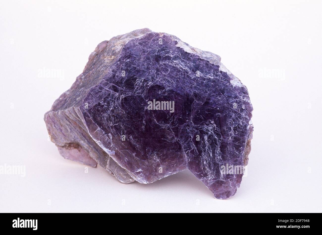 Lepidolita es un mineral de silicato del grupo de mica rico en litio. Muestra de pinkish. Foto de stock