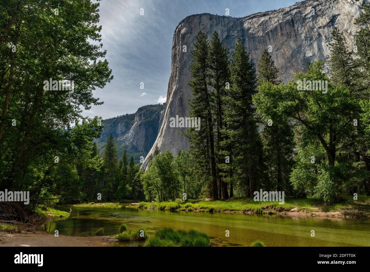 Tarde de verano sol en el Capitán en el Parque Nacional Yosemite CA USA ubicación mundial. Foto de stock