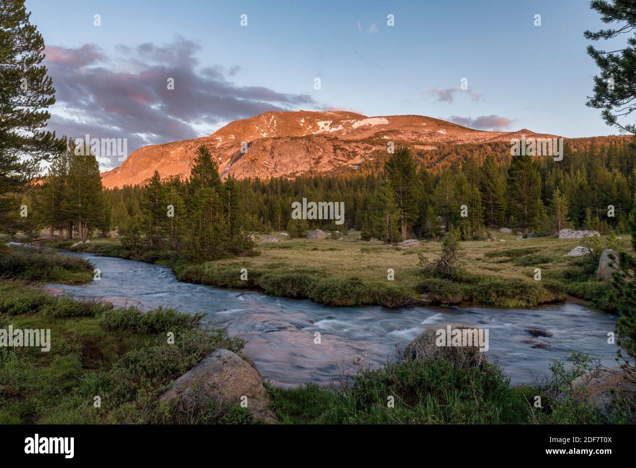 Dana Fork del río Tuolomne en el Parque Nacional Yosemite CA USA ubicación mundial. Foto de stock