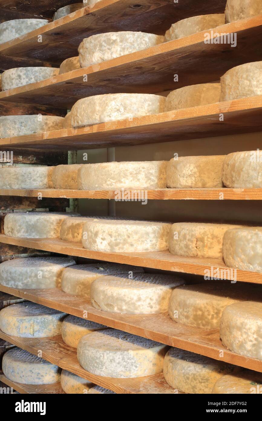 Francia, Isere, Vercors, Lans en Vercors, Ferme la Grand Meche, Bleu du