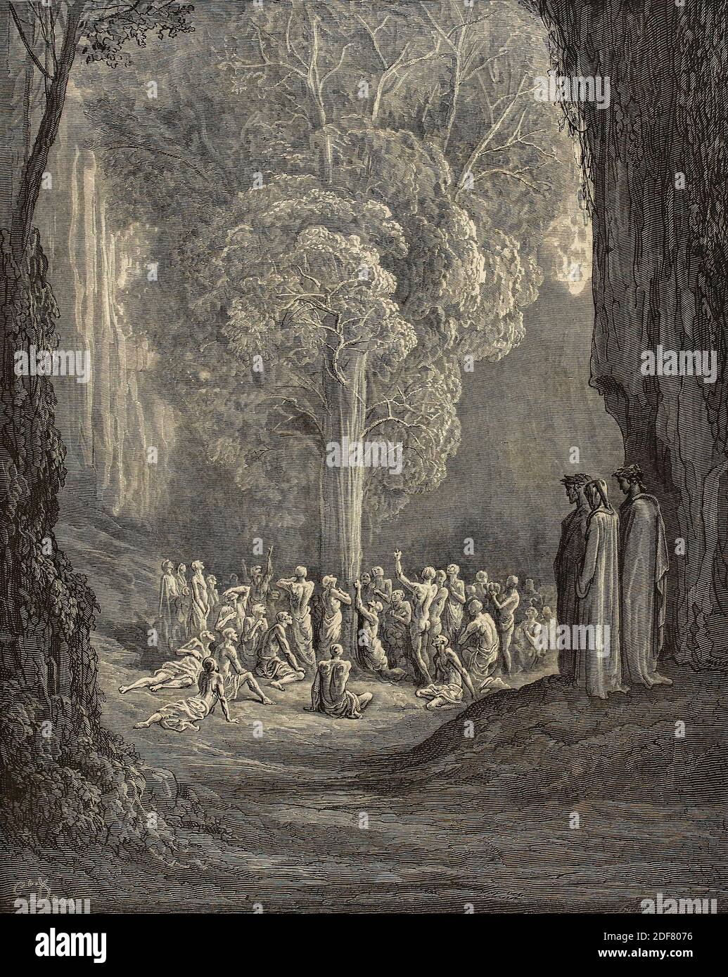 Dante - Divina Commedia - Purgatorio - Ilustración de Gustave Dorè - Canto XXIV - el árbol de los glotones Foto de stock