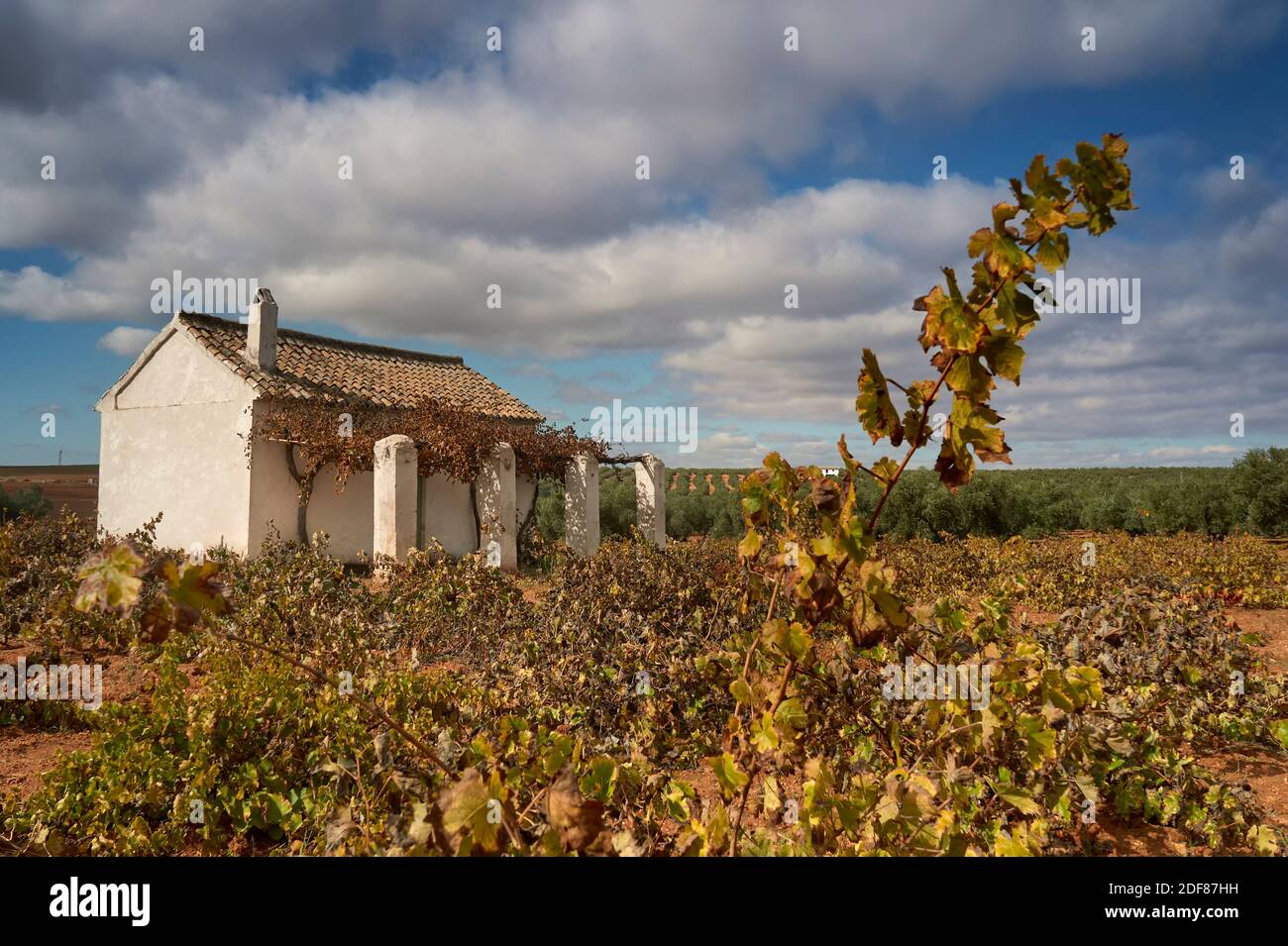 Casa de herramientas agrícolas dentro de un viñedo en Mollina, Málaga.  Andalucía. España Fotografía de stock - Alamy