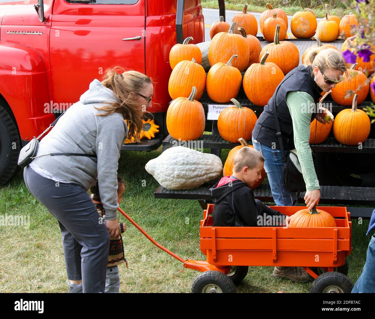 Niño pequeño en un vagón naranja con una calabaza Foto de stock