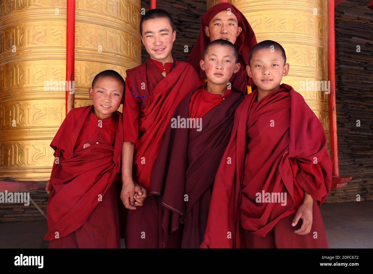 China, Sichuan, Tagong, grupo de jóvenes monjes budistas tibetanos en el monasterio Foto de stock