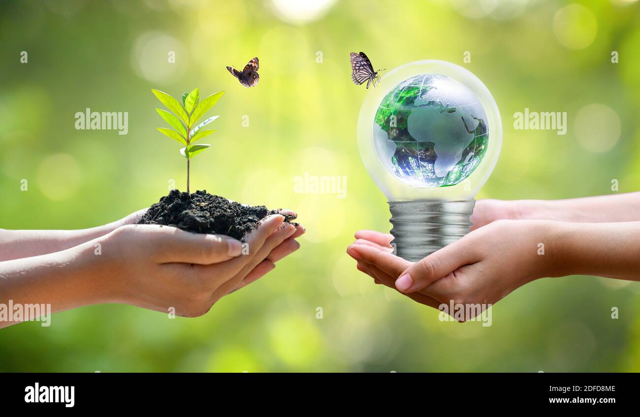 Concepto salvar el mundo salvar el medio ambiente del mundo se encuentra en la hierba de la verde fondo bokeh Foto de stock