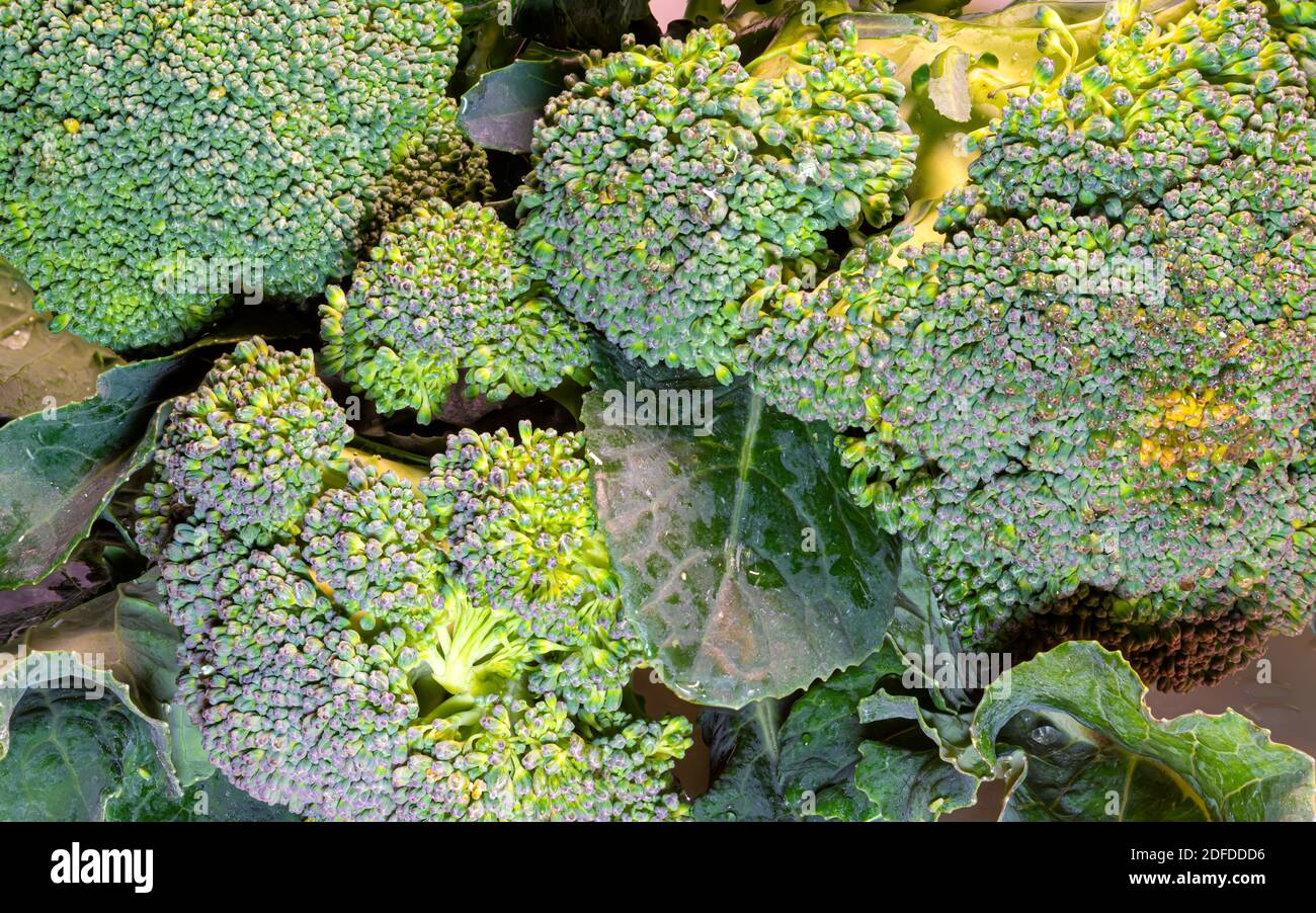 Brócoli crudo en una vista superior de tabla de madera, fotografía macro Foto de stock