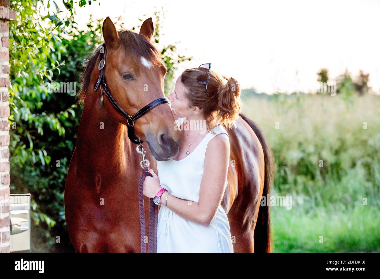 AFINIDAD ENTRE UNA JOVEN Y SU CABALLO, NORMANDÍA Foto de stock