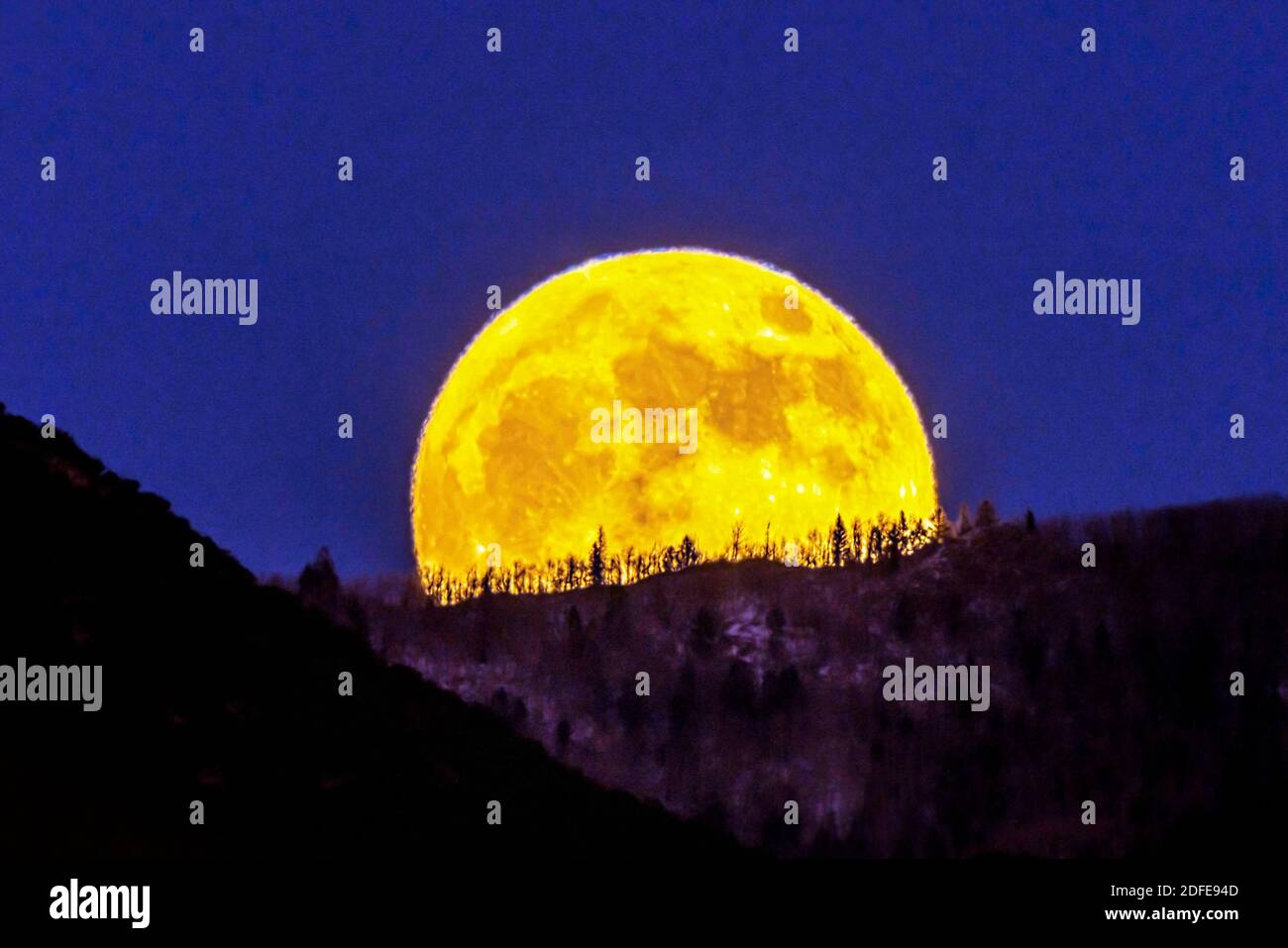 Luna de castor fotografías e imágenes de alta resolución Alamy