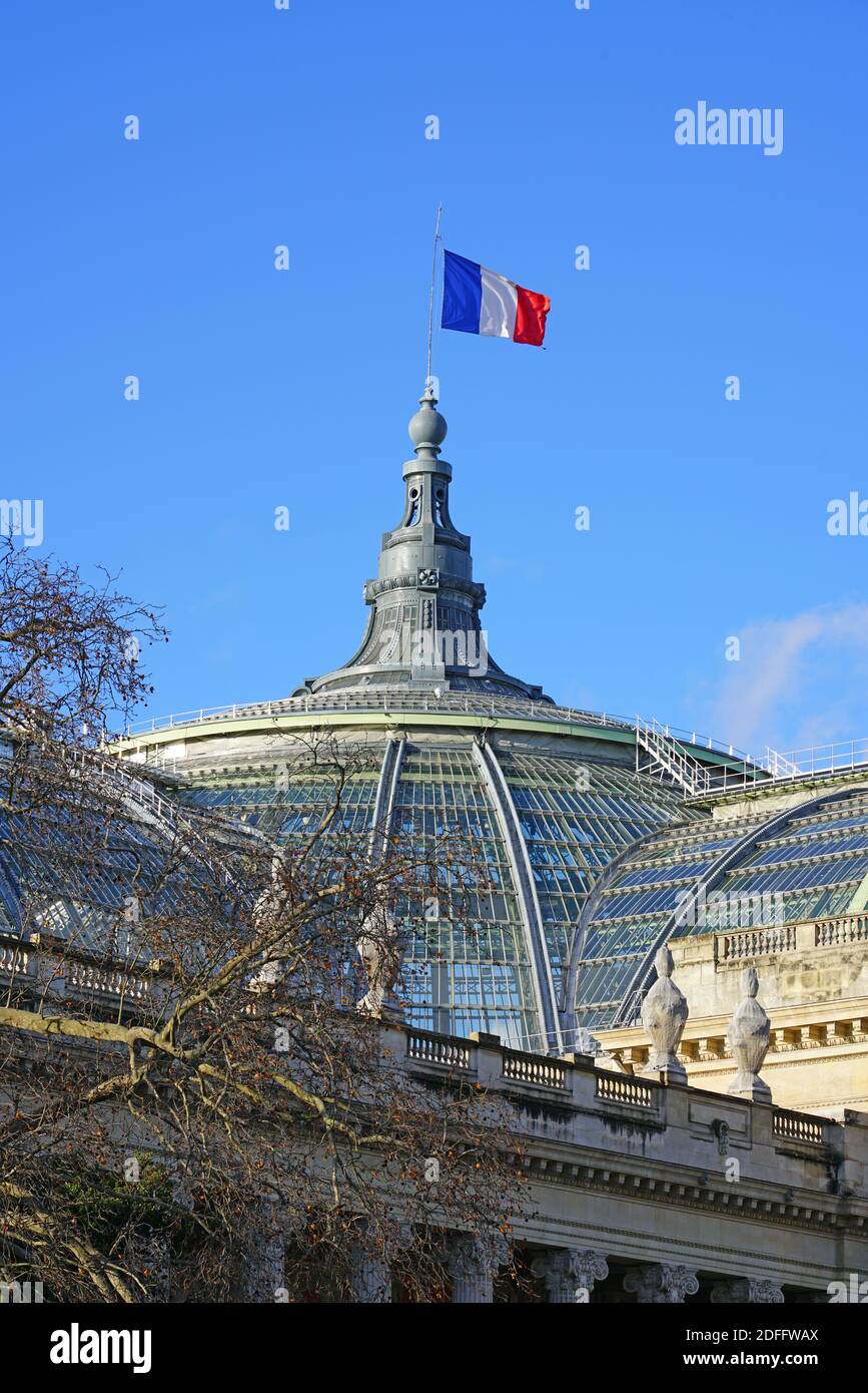 PARÍS, FRANCIA -20 Dic 2019 - Bandera francesa flotando sobre el techo del Grand Palais, un lugar de arte y sala de exposiciones en los Campos Elíseos en el Fren Foto de stock
