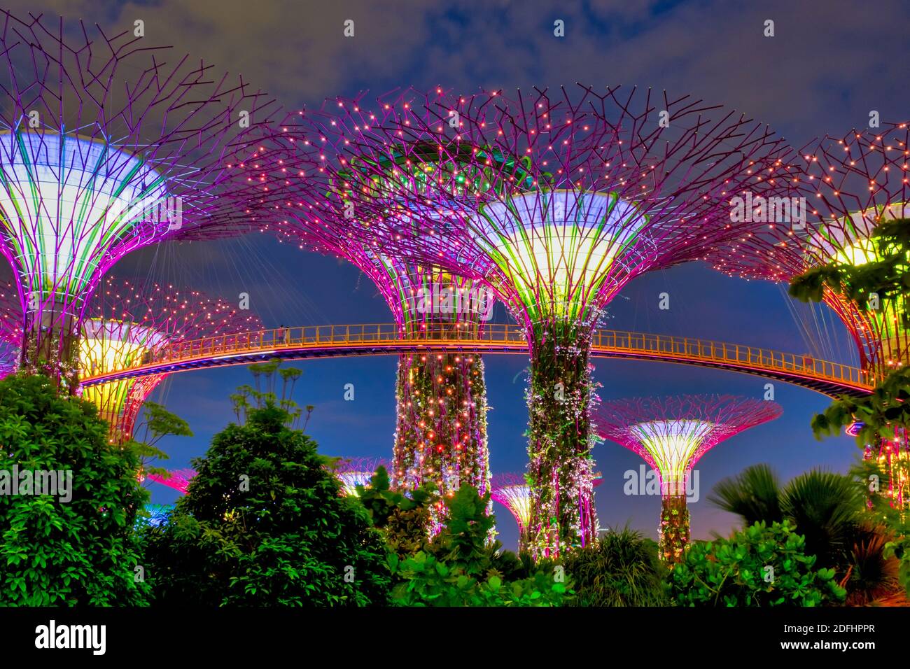 Supertree Grove en los jardines junto a la bahía, Singapur Foto de stock