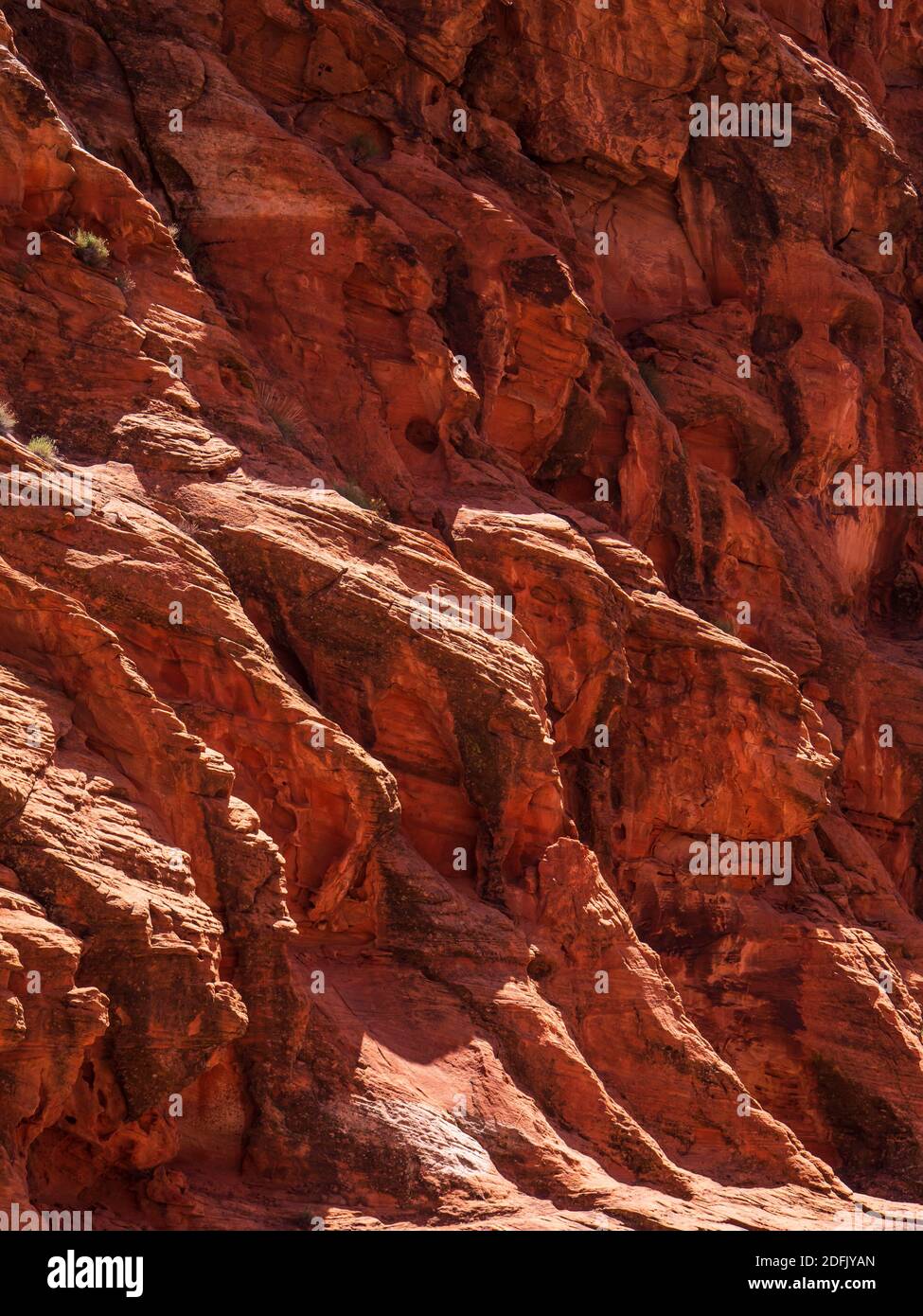 Acantilados de arenisca roja Navajo, camino Padre Canyon, Parque Snow Canyon Stte, Saint George, Utah. Foto de stock